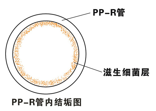 PP-R滲氧，易滋生細菌，有異味；腐蝕金屬連接件，降低使用壽命